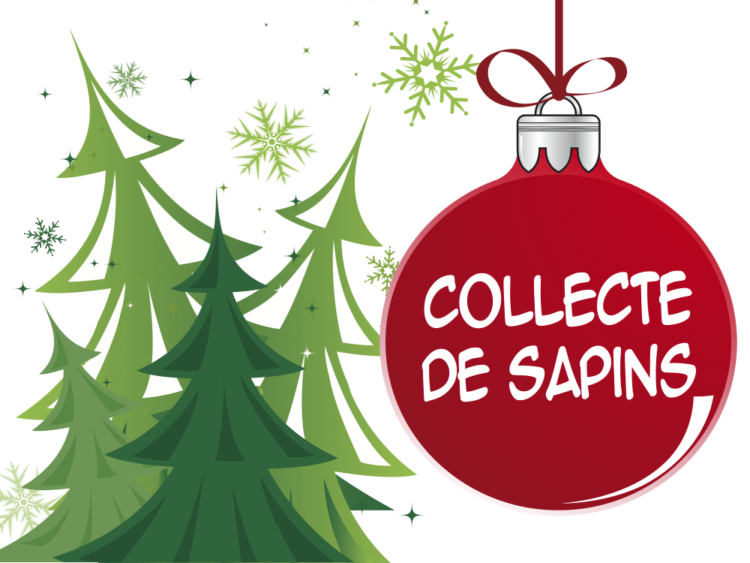 You are currently viewing Ramassage des sapins de Noël